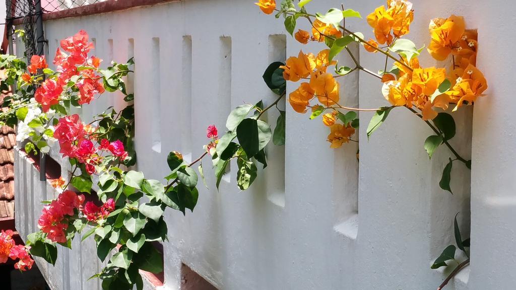 Desitha Family House Hotel มิริสซา ภายนอก รูปภาพ